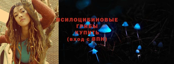 гидра Алзамай