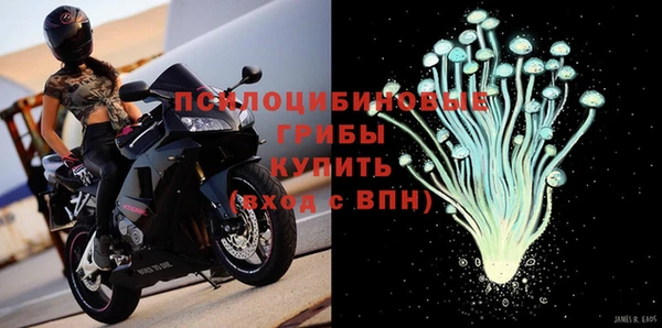 гидра Алзамай