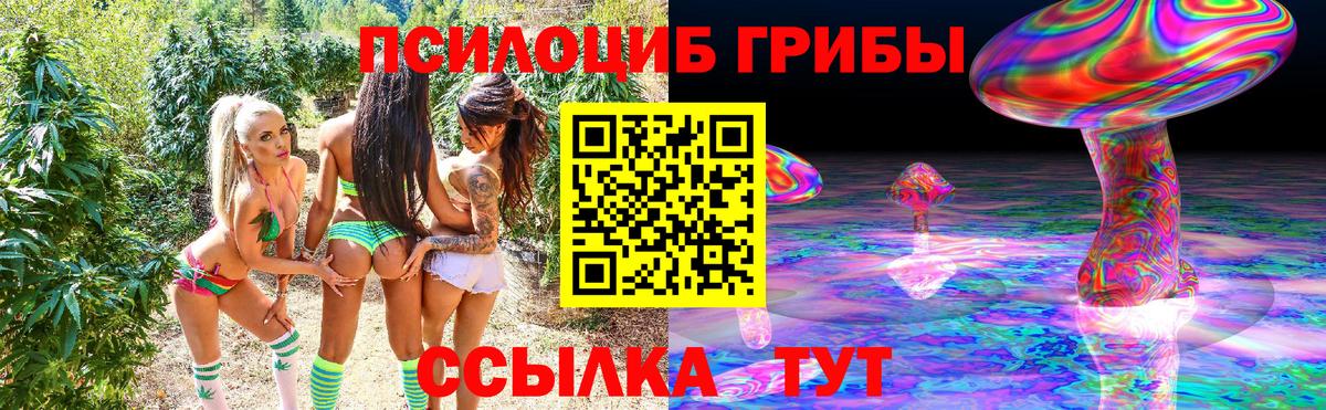 Галлюциногенные грибы Psilocybine cubensis Лесосибирск