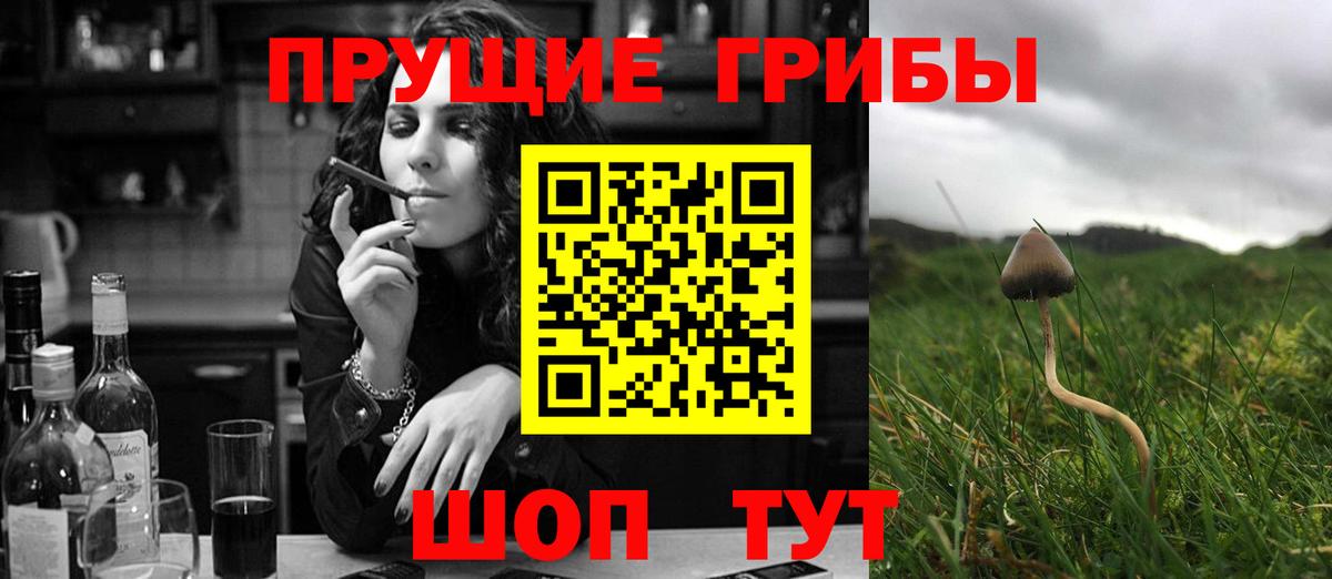 Лесосибирск  Псилоцибиновые грибы ЛСД  Вход с VPN  Галлюциногенные грибы Magic Shrooms 